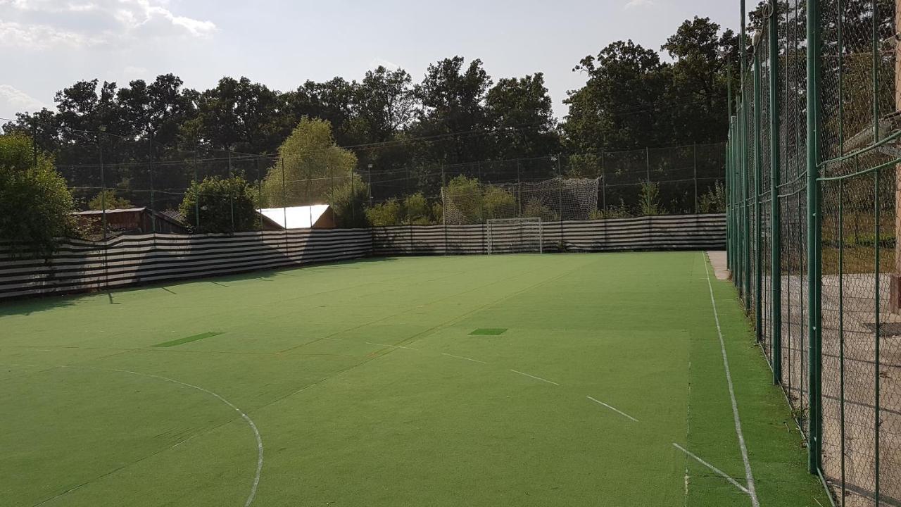 Plopeni Hostel Horia מראה חיצוני תמונה